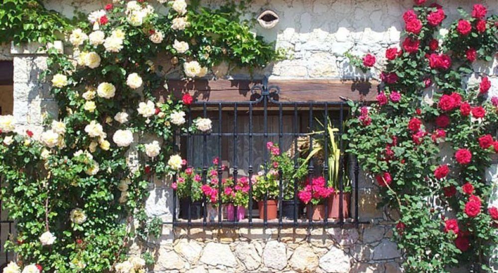 Castel Garoupe Hotel Antibes Exterior foto